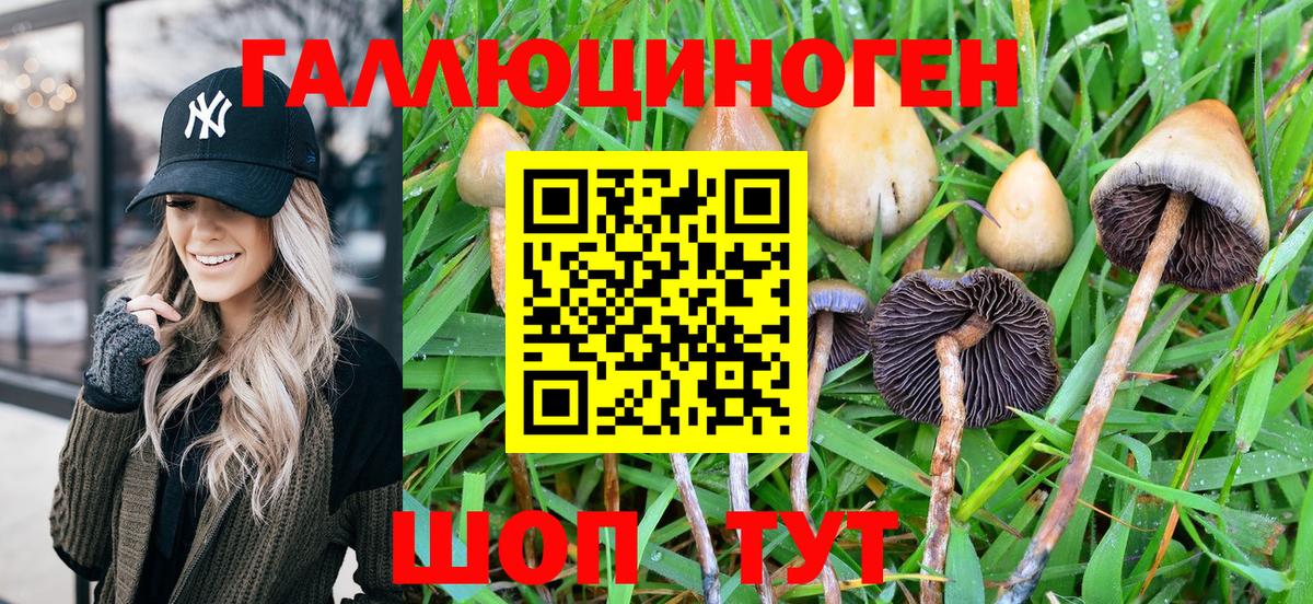 купить   Псилоцибиновые грибы Magic Shrooms  Вход с VPN  Галлюциногенные грибы Magic Shrooms  Каменск-Шахтинский 