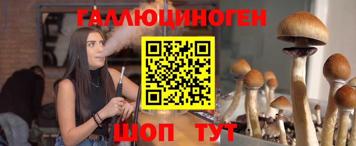 Псилоцибиновые грибы MAGIC MUSHROOMS Каменск-Шахтинский
