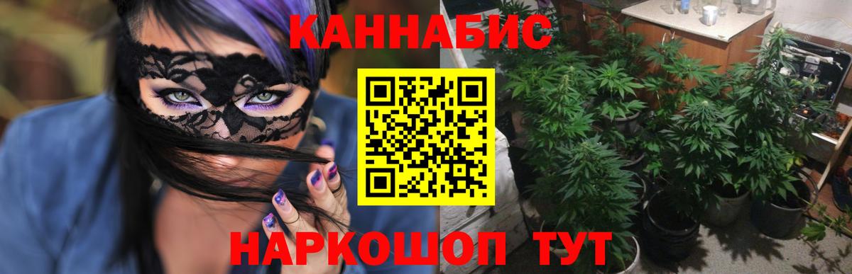 Конопля сатива Каменск-Шахтинский